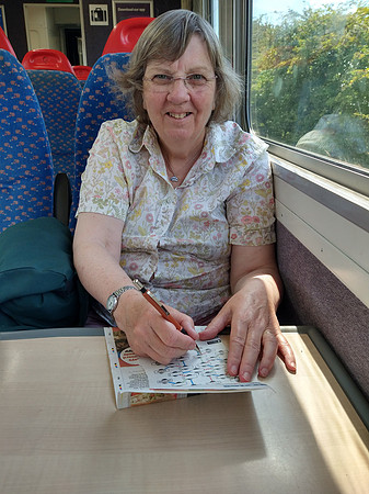 Ann going home on train
