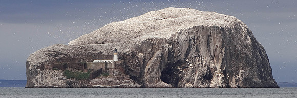 Bass Rock