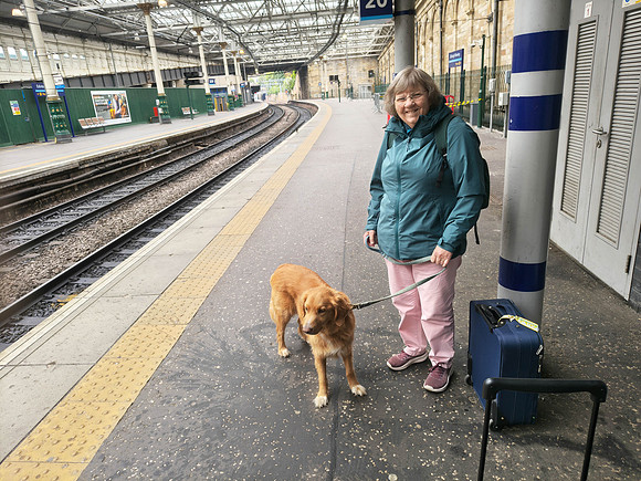 Taking Hector back to Lincoln