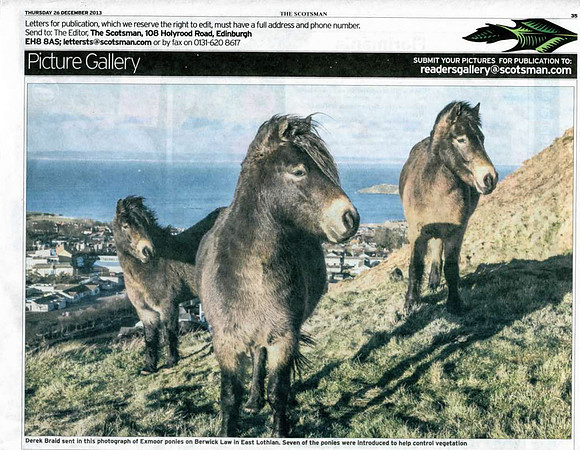 The Scotsman (26 December 2013)