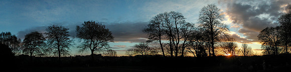 EDINBURGH WINTER SKYLINE FROM ROYAL BOTANIC GARDENS