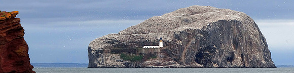 Bass Rock, View from Seacliff
