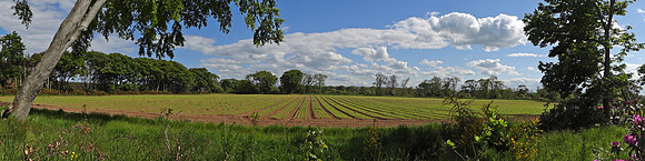Tyninghame Links