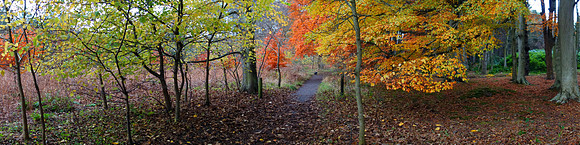 Links Wood, Tyninghame