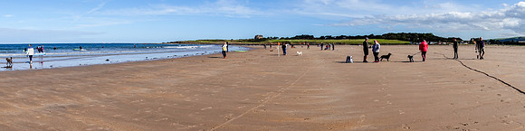 Belhaven Bay
