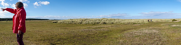 Salt Marches, Belhaven Bay