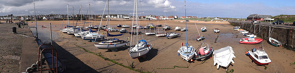 The Harbour, Elie