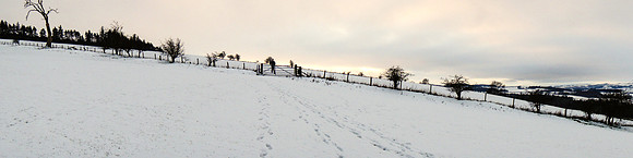 Snowy Fields above Denholm