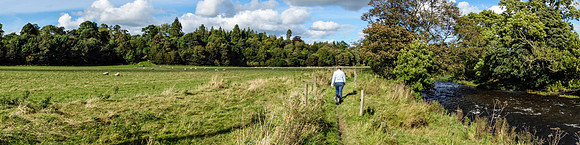 Walking to Denholm beside River Teviot