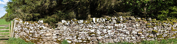 Wall, the Hillhead, above Denholm