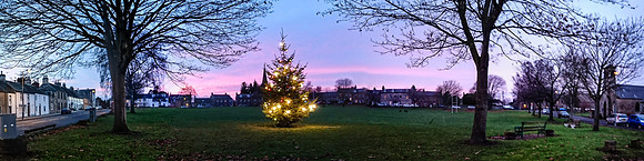 Christmas Tree, Denholm Green