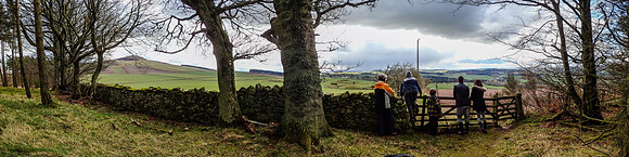 Looking up to Ruberslaw
