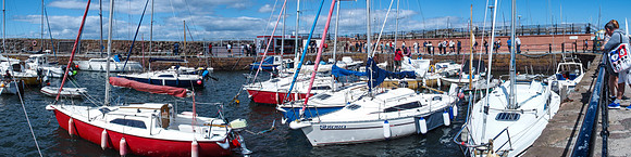 The  Harbour, North Berwick
