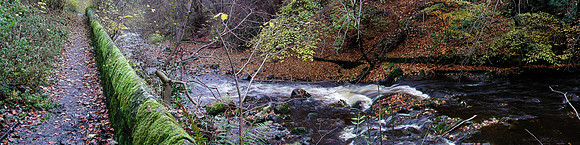 COLINTON DELL, EDINBURGH WATER OF LEITH, COLINTON DELL, EDINBURGH