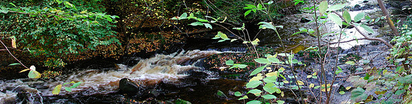 WATER OF LEITH, COLINTON DELL, EDINBURGH