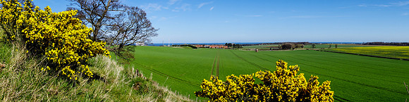 On the South side of Berwick Law, looking east to The Heaugh and Tantallon Castle in the distance